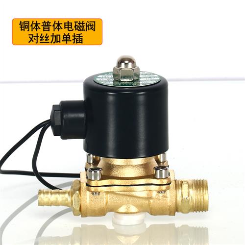 货车淋水器配件铜4分6分电磁阀汽车水箱电子阀12V24V刹车自动水阀