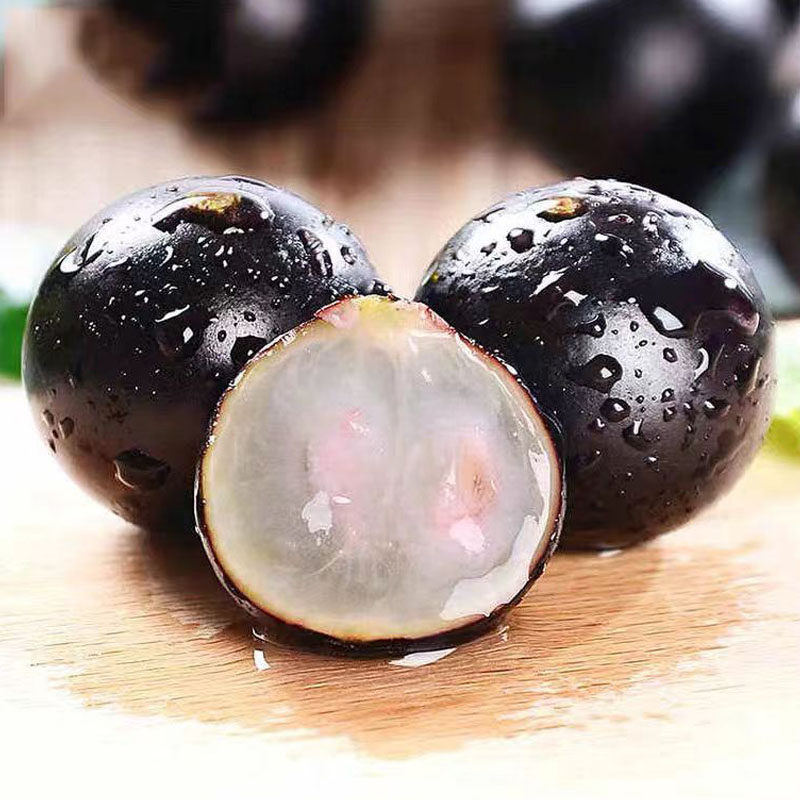 现货嘉宝果新鲜水果树葡萄现摘稀有水果加宝果珍宝果国产罕见鲜果