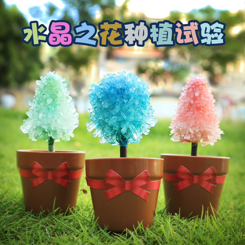儿童手工魔法花生长水晶花圣诞树