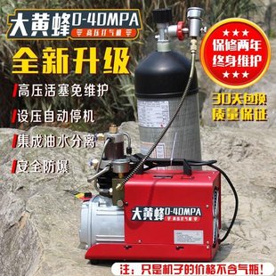 电动充气泵打高压机单缸mpa小型气泵4030气大黄蜂水冷冲mpa泵小型