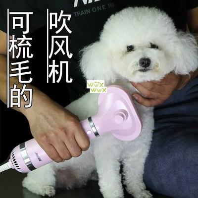 2-In-1 Portable Dog Dryer Dog Hair Dryer And Comb Brush Pet