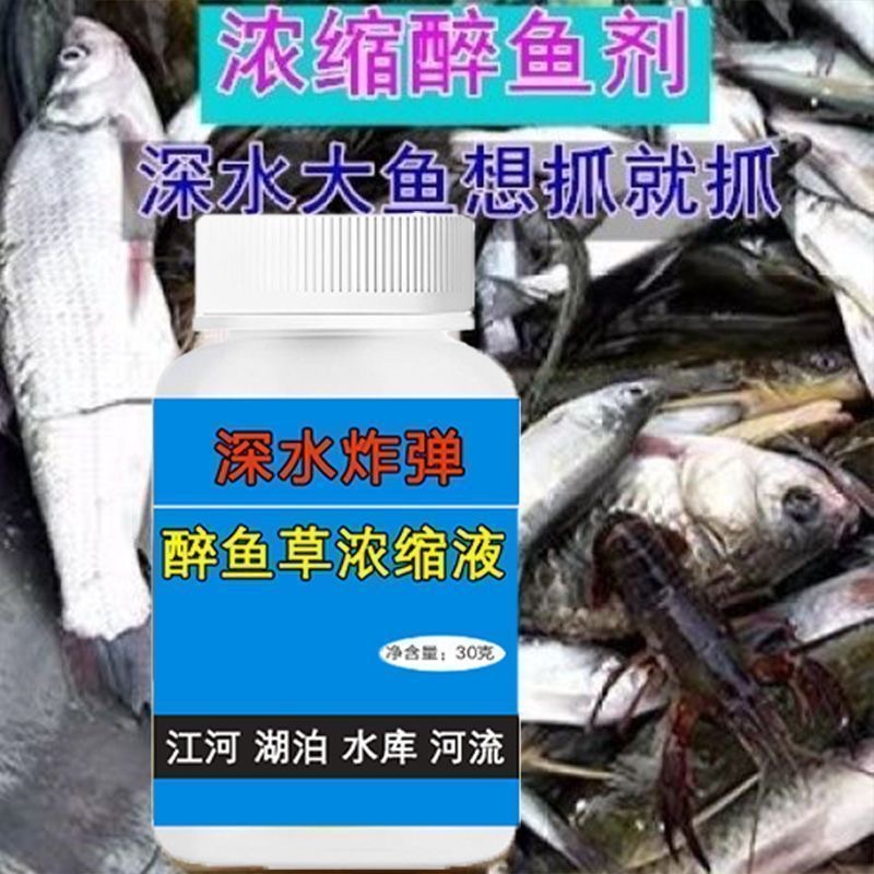 醉鱼药特效晕鱼药鱼用麻醉专用江河野钓鱼塘清塘鱼药一塘清醉鱼灵