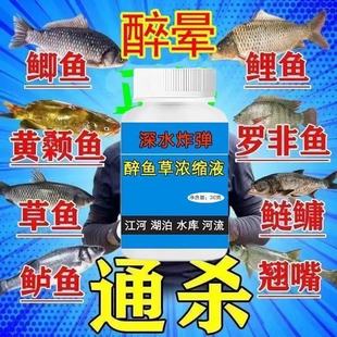 醉鱼药特效晕鱼药不伤鱼神器鱼用麻醉捕鱼专用缺氧药封氧剂醉鱼灵