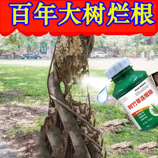 大树烂根除草药一滴树死强力除树粉死树根烂根枯树王除根药腐蚀剂