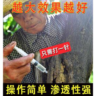 大树一针烂根死竹杂灌树一针倒打一针使用方便操作简单房前屋后