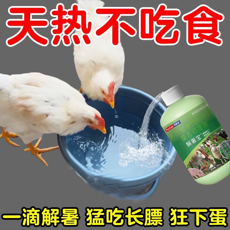 兽用宝鸡牛羊解暑畜禽解暑降温应激猪抗热专用正宗鸭鹅防养殖中暑
