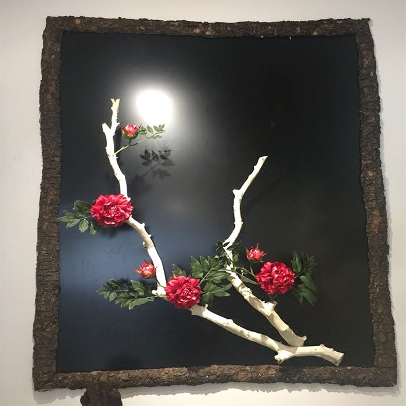 干树枝原木杈艺术干枝枯枝枯木树干鸟架造型壁挂衣架吊顶树枝装饰