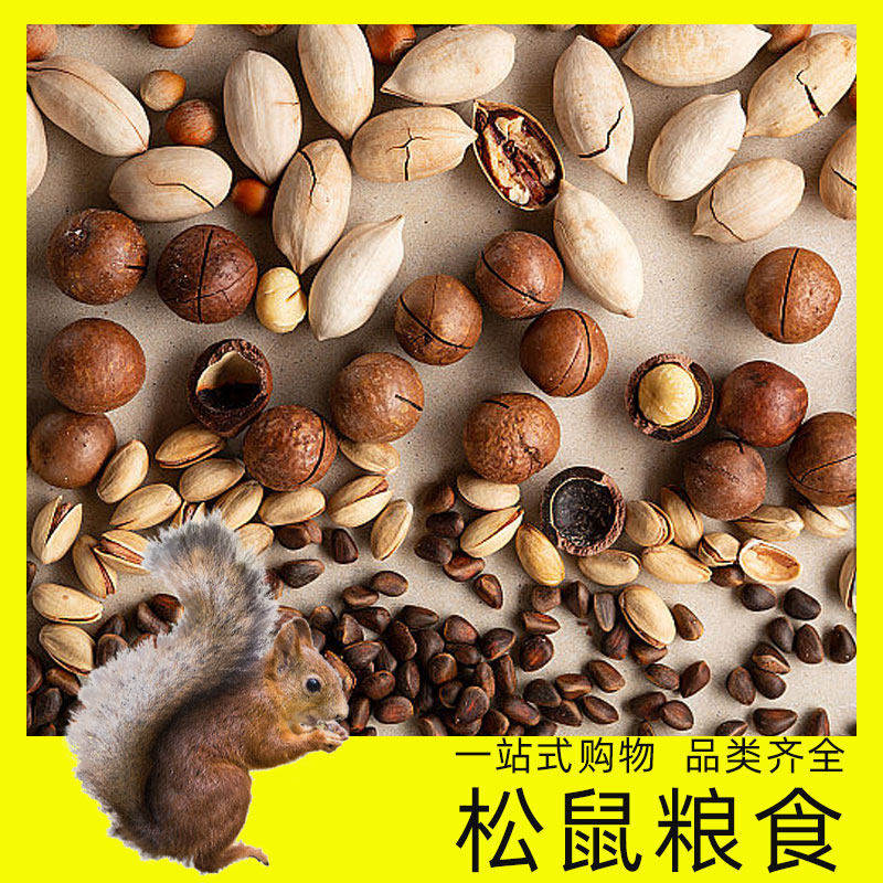 松鼠粮食专用粮黄山魔王图片