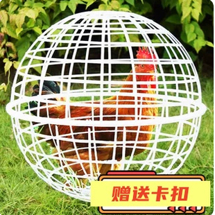 网红走地鸡笼子球形鸡笼圆形兔笼可滚动景区走动觅食散养防走丢