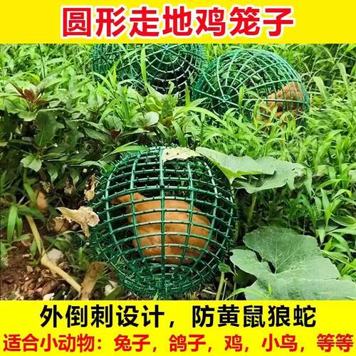 网红走地鸡笼子塑料球形