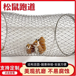 松鼠跑道笼子室外萌宠园跑笼松鼠宠物隧道笼子不锈钢镀锌铁丝网