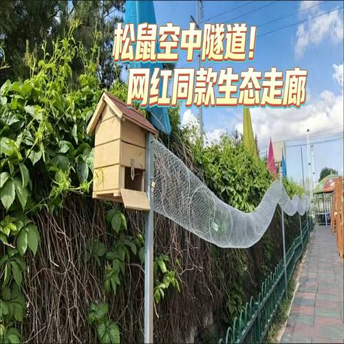 户外实木松鼠屋带铁网跑道