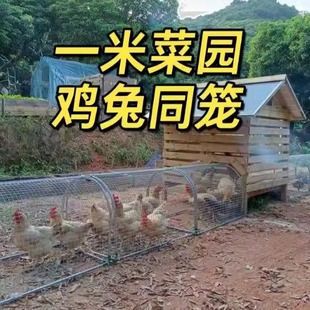 户外养鸡隧道笼子散养鸡子跑道专用散棚鸡笼溜达走地的移动养殖网