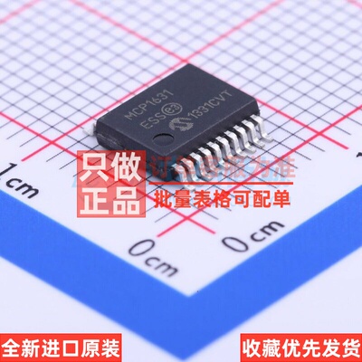 DC-DC电源芯片 MCP1631-E/SS SSOP-20 MICROCHIP(美国微芯) 原装