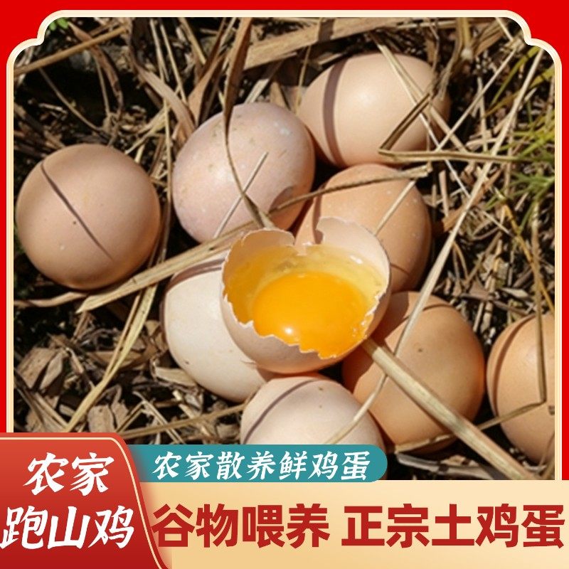 农家土鸡蛋谷物鲜鸡蛋约45g/枚泡沫装散养跑山鸡五谷杂粮饲养鸡蛋,水产肉类/新鲜蔬果/熟食,鸡蛋,淘宝优惠券,粉丝福利购,淘宝优惠卷