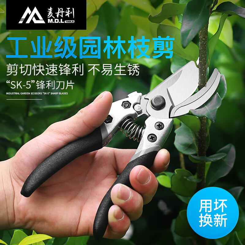 树。园林剪刀进口修枝剪树枝粗枝果果枝园艺德国SK5钢家用绿化剪