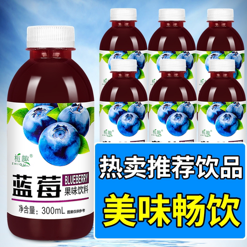 年底便宜清仓蓝莓汁果味饮料整箱批300ml*24瓶清爽酸甜聚会自助餐