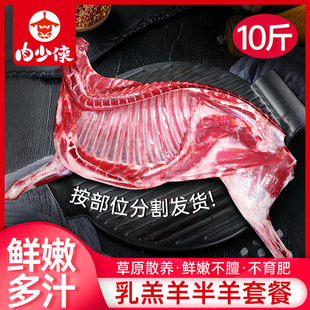 羊肉新鲜现杀半只羊10斤羊后腿肉羔羊肋排冷冻羊蝎子火锅食材礼盒