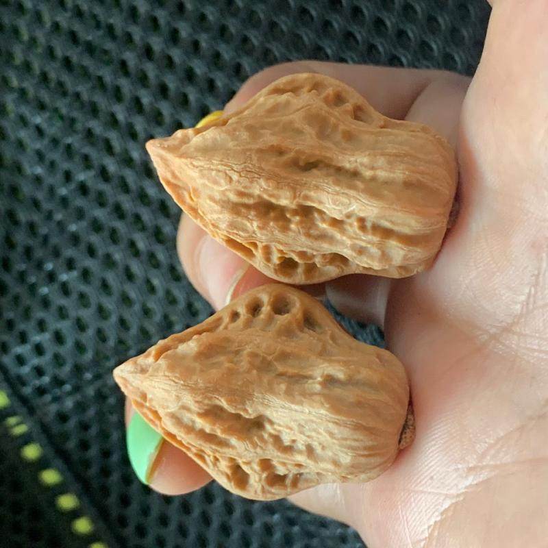 2026文玩手把件异形迷你小鸟成对鸳鸯盘玩畸形原色和平鸽麻核桃秋