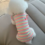 Собачья одежда летняя летающая рукав радужная полоса базовая рубашка тонкая плюшка бишон медведь гранат кот милый топ