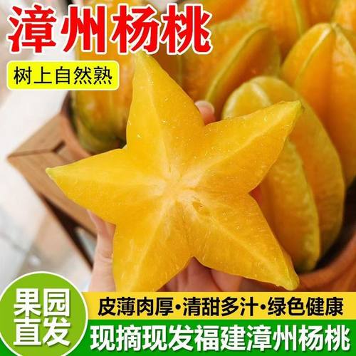 杨桃新鲜水果当季水果洋桃精选热带水果降火红龙杨桃樱桃黄桃罕见