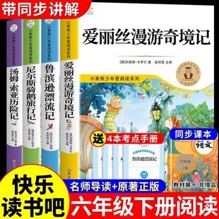 爱丽丝漫游奇境记六年级下册必读正版的课外书快乐读书吧6下阅读书籍鲁滨逊漂流记汤姆索亚历险记尼尔斯骑鹅旅行记梦游仙境奇遇记K