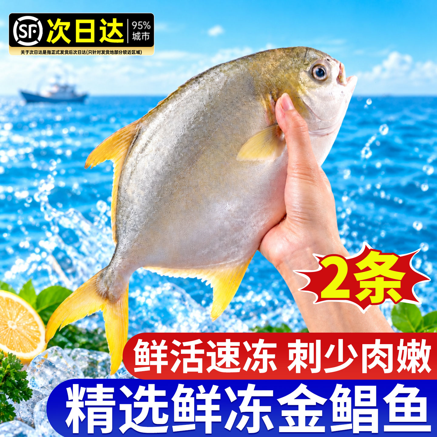 金鲳鱼新货鲜镜鱼海鱼鲳鱼金昌鱼鲳鳊海鲜水产鲜活冷冻顺丰包邮