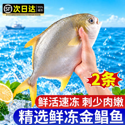 精选鲜冻金鲳鱼鲜活速冻刺少