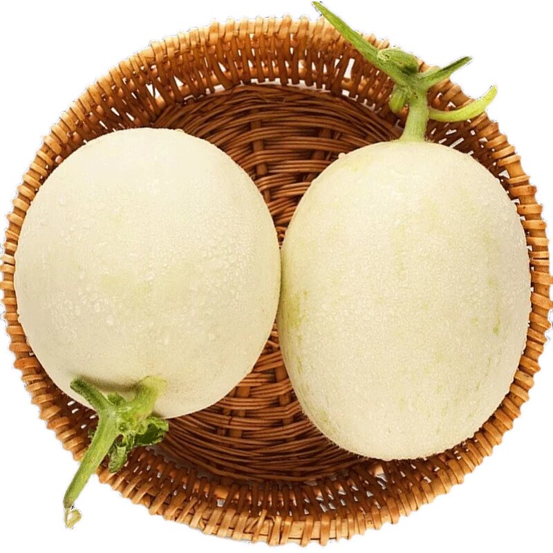 甜瓜陕西阎良甜瓜头茬新鲜水果香甜多汁整箱包邮4.5斤3-4个瓜
