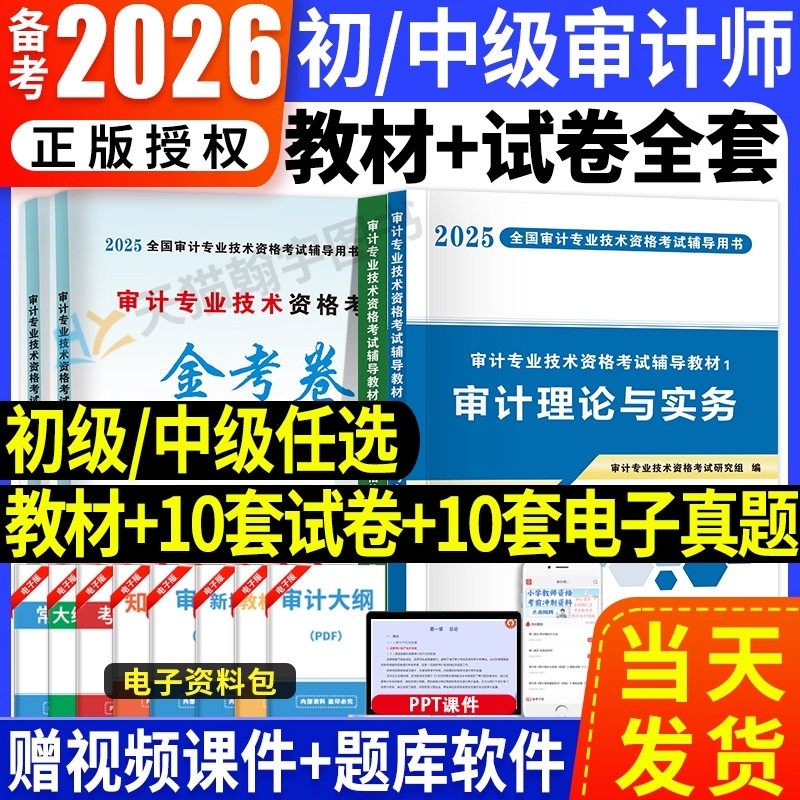 备考2026年审计师考试教材真题模拟试卷初级中级审计理论与实务+审计专业相关知识审计初级考试审计师中级考试中级审计师教材2025