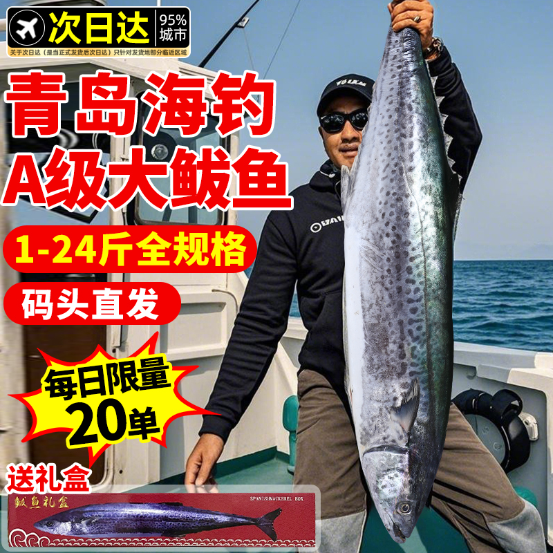 鲅鱼新鲜冷冻山东特大马鲛鱼整条青岛鲅鱼片香煎燕鲅鱼段海鱼10斤