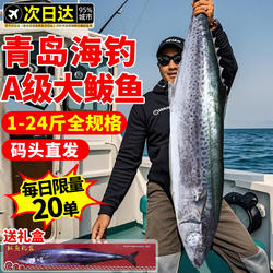 鲅鱼新鲜冷冻山东特大马鲛鱼整条青岛鲅鱼片香煎燕鲅鱼段海鱼10斤