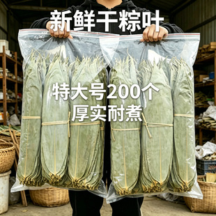 干粽叶新鲜粽叶特大号包粽子专用端午节家商批发送粽绳材料叶子