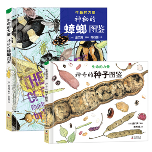 力量神秘 蟑螂图鉴 神奇 自然科学绘本昆虫百科知识启蒙书籍 全2册生命 种子图鉴绘本 种子昆虫哲学博物馆 北斗官方