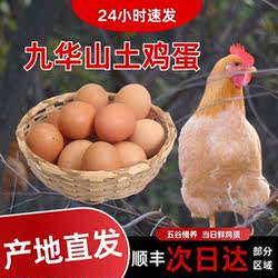 皖南土鸡蛋九华山高山散养竹林蛋50枚产地顺丰包邮新鲜农场客服