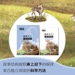 孤勇羊王之英雄悲歌 动物小说大王沈石溪著 彩绘注音版 附阅读拓展手册 安徽少年儿童出版社 fb