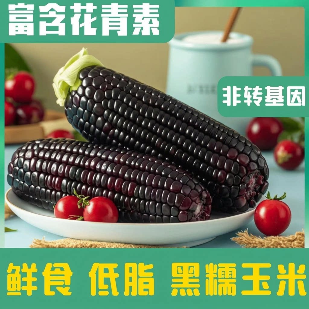 山西特产黑糯玉米真空包装