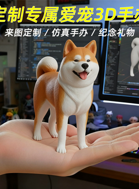 宠物照片定制仿真模型创意狗狗猫打印公仔手办离世纪念品生日礼物