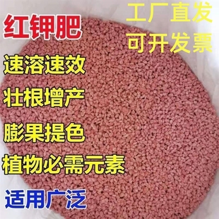进口钾肥俄罗斯硫酸钾红钾叶面肥保花促果蔬水溶肥钾肥调水通用型