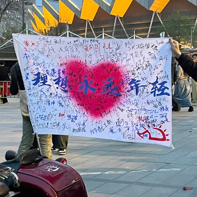 赵雷旗帜大旗草莓音乐节户外摇滚应援旗子民谣酒馆挂布定制做刺猬