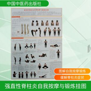 中国中医药出版 编 社 张雄 外科学 郑润杰 强直性脊柱炎自我按摩与锻炼挂图