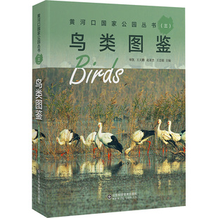 黄河口国家公园丛书（三）鸟类图鉴 山东科学技术出版社 单凯 著 生命科学/生物学