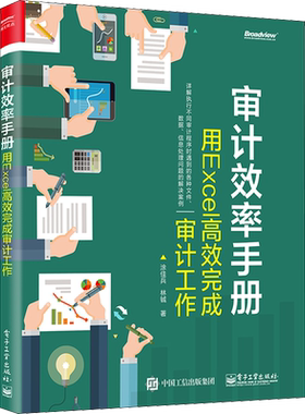 审计效率手册 用Excel高效完成审计工作 电子工业出版社 涂佳兵,林铖 著 办公自动化软件（新）