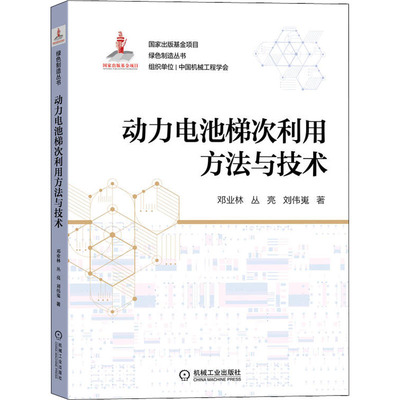 动力电池梯次利用方法与技术 机械工业出版社 邓业林,丛亮,刘伟嵬 著 汽车