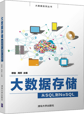 大数据存储 从SQL到NoSQL 清华大学出版社 柳俊,周苏 编 数据库