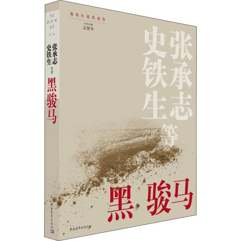 黑骏马 中国青年出版社 张承志,史铁生 等 著 其它小说