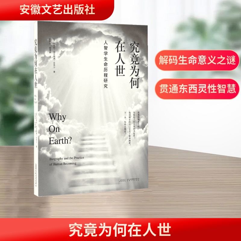 究竟为何在人世 安徽文艺出版社 (美)西格妮·埃克隆德·舍弗尔(Signe Eklund Schaefer) 著;孙爱萍,杨雪静 译 著 外国哲学