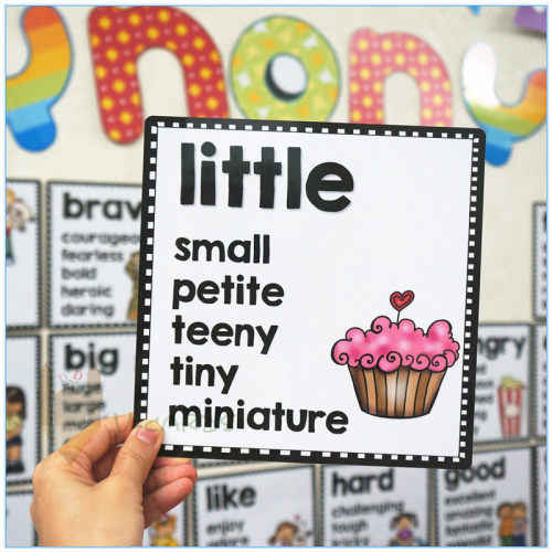 30pcs13*mSynoEnglish