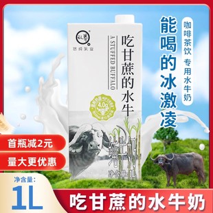 水牛奶1L咖啡拿铁奶茶店原料水牛乳鲜奶茶餐饮家用纯牛奶 吃甘蔗