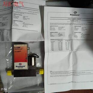 荷兰Bronkhorst流量计RUR-107T,盒子(议价)